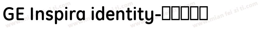 GE Inspira identity字体转换